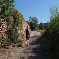 Photo de france - La randonnée de l'ancien refuge sur la colline